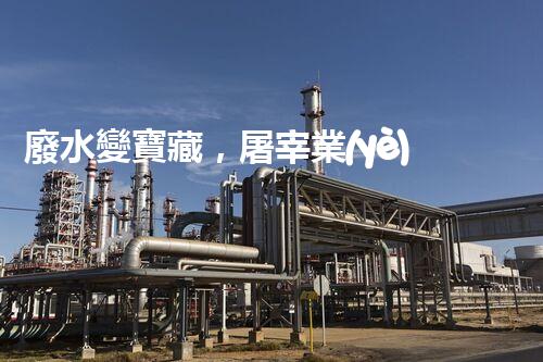 廢水變寶藏，屠宰業(yè)如何實(shí)現(xiàn)綠色處理？